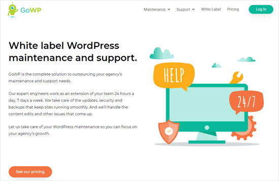 Website Maintenance Services